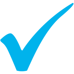 icon checkmark blue big