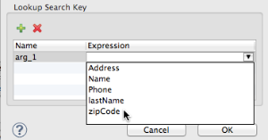 ex.lookup.assign.key