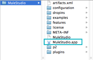 muleStudio-app