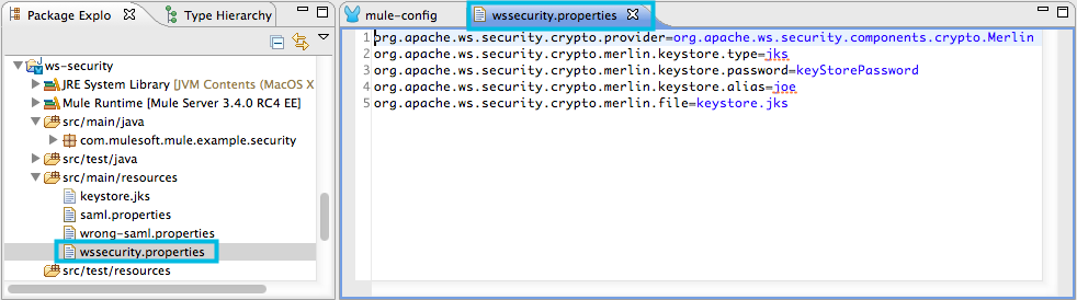 ws_security_properties